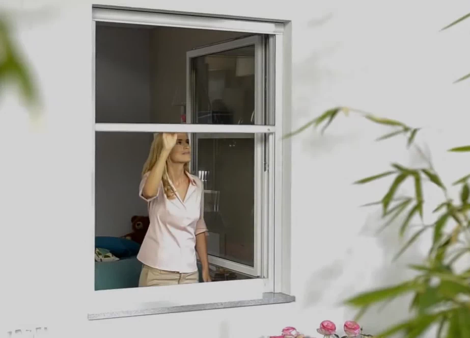 Rollo für Fenster